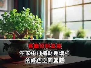 招財物品擺放|【風水佈局入門】招財物品擺放指南，讓你財源滾滾來！